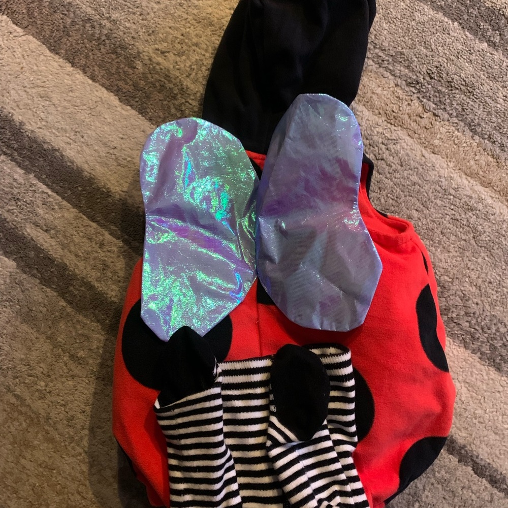 Carters Lady Bug Costume